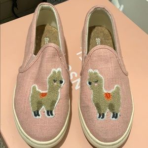 Soludos Llama Slides